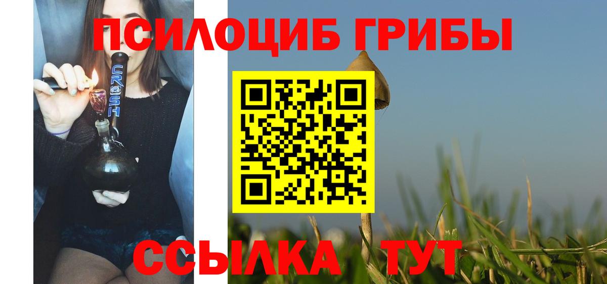 Таганрог  Галлюциногенные грибы прущие грибы  Вход с VPN 